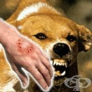 ���� �� ���