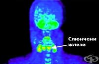 ������������� ���������� �� �������� �����