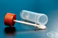 ������� ����