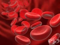 ���� �� �����