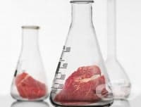 ���� �� �����������