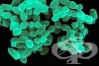 ������� �� ���������