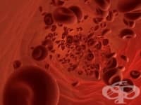 ���� �� �������������