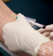 ���� �� ������� �