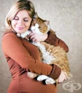 ���� �� �������������