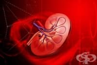 ������� �� �������