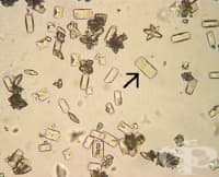 ���������� �� ������� �������� � �������