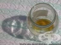 �������  � �������