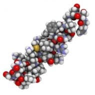 ����������� ������������ ������