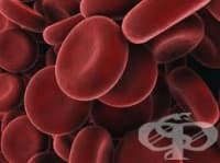 ����� �� ��������� ��� ������� � �����������