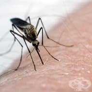 ���������� �� ������� ������ �����