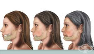 ������������ ������� ��� ������ �� ����