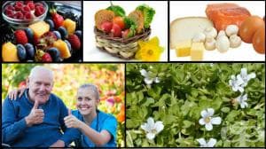 ������������ ������� �� ������ �� ���������