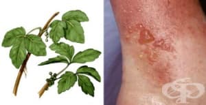 �������� �������� ����� ����� �� ������� �������