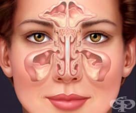 ��� �� �������� �������� � ���������� ������ � ��������