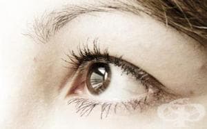 �������������� �������� ��� ��������� �� ��������� ����