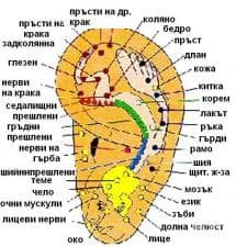 Акупунктура