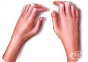 ������������ �������� �� ����� � ��������� �� ������������