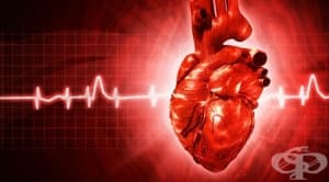 ������������ ������� �� �������