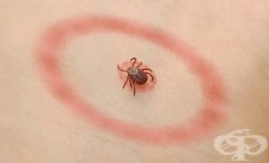 ������������ ������� �� ������� ������