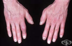 ������������ ������� �� ����������� ������