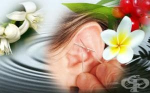 ��������������� - ������� ���� �����