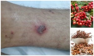 ����� ��� ������ �� ������