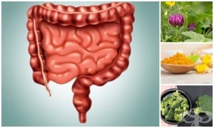 ����� � ���������� �������� ��� ������ �� �������� �����