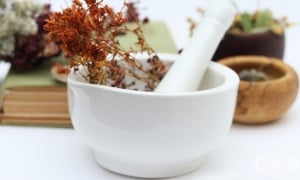 �����, ���������� ��� �������� �����������