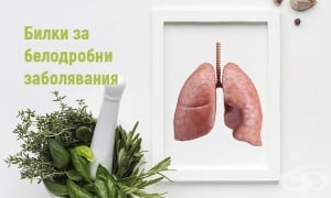 ����� �� ���������� �����������