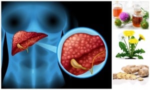 ����� �� ������� �� ������ ����