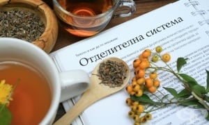 ����� �� ������������� �������