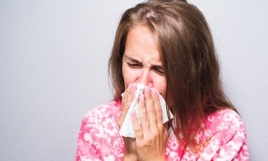 ����� � ������� ������� ��� ��������� �����������