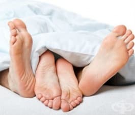 ����� �� ���������� �� ������������ � �������� ��� ��� ������