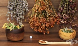 ������� ������� ��� ���������, ������, ������� � ������ �� �������