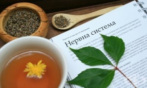 ������� ������� ��� ������������ �����������