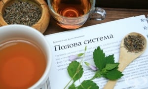 ������� ������� ��� ������������ ����������� �� �������� ������ ������