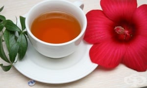 ������� ������� �� ����������� �� �������