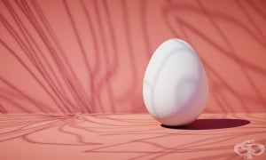 �������� �� ������ ������� ���� ����� ������ �� ��������