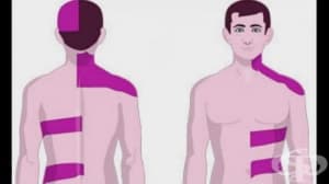 ���������� �������� � ������ �� ��������� � ������� �� ������ �� ������