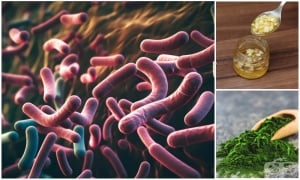 ���������� �������� �� �������������� ���� ������