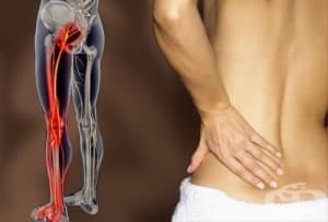 ����� - ����� � ������������ ������� �� ����������� �� �������