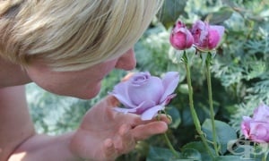 ��� �� �� �������� ��� ������ �� ��������