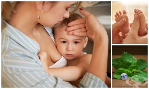 ��� �� ������ ������������� ��� ����