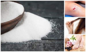 ����� ������ ����������� ���