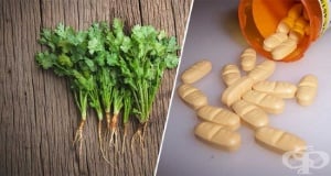 ��������� - ������ �������������� � ������������������� �����