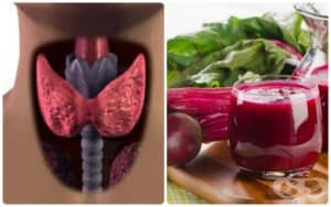 ������� �� ��������������� � ������� �� ������� ������� ��������