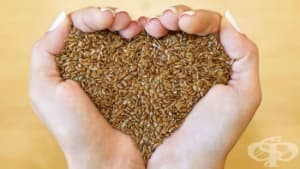 ������� - ������������� � ���������� ����� �� ��������