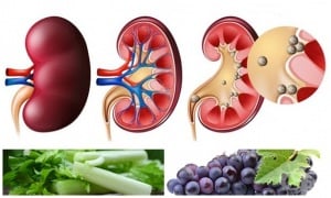 ��������� �������� ����� ������ � ���������