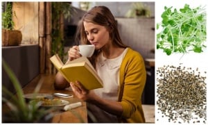 ������������� �� ������ �� ������������ � �����